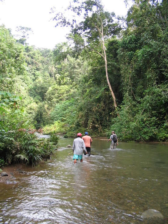 2-darien-national-park-treking-pinas-bay