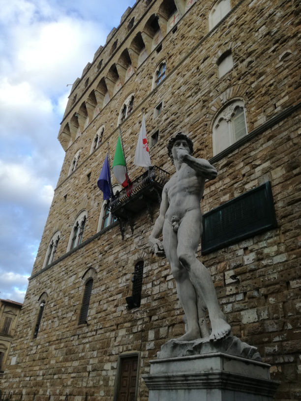 David di Michelangelo, Palazzo Vecchio 