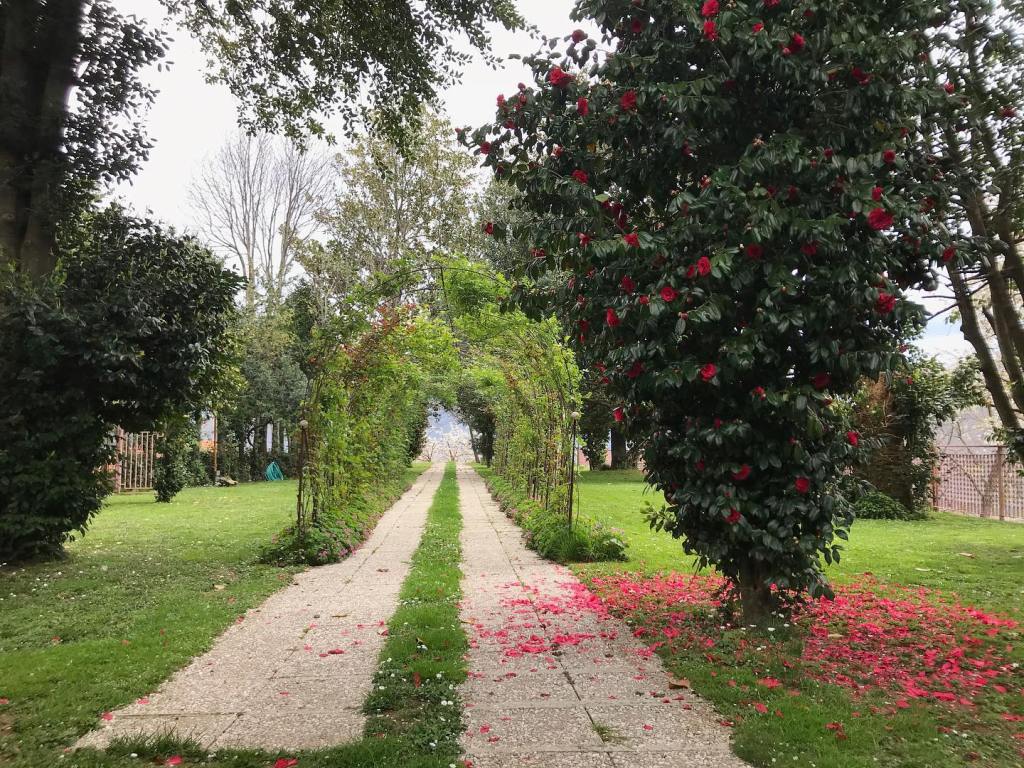 Questa immagine ha l'attributo alt vuoto; il nome del file è infinito_tramonti.jpg